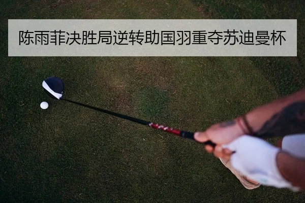 陈雨菲决胜局逆转助国羽重夺苏迪曼杯